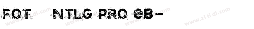 FOT ロダンNTLG Pro EB字体转换